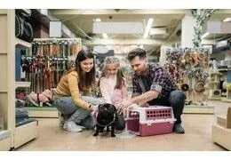 Los Mejores Productos para Mascotas en Foro24.es: Guía Completa